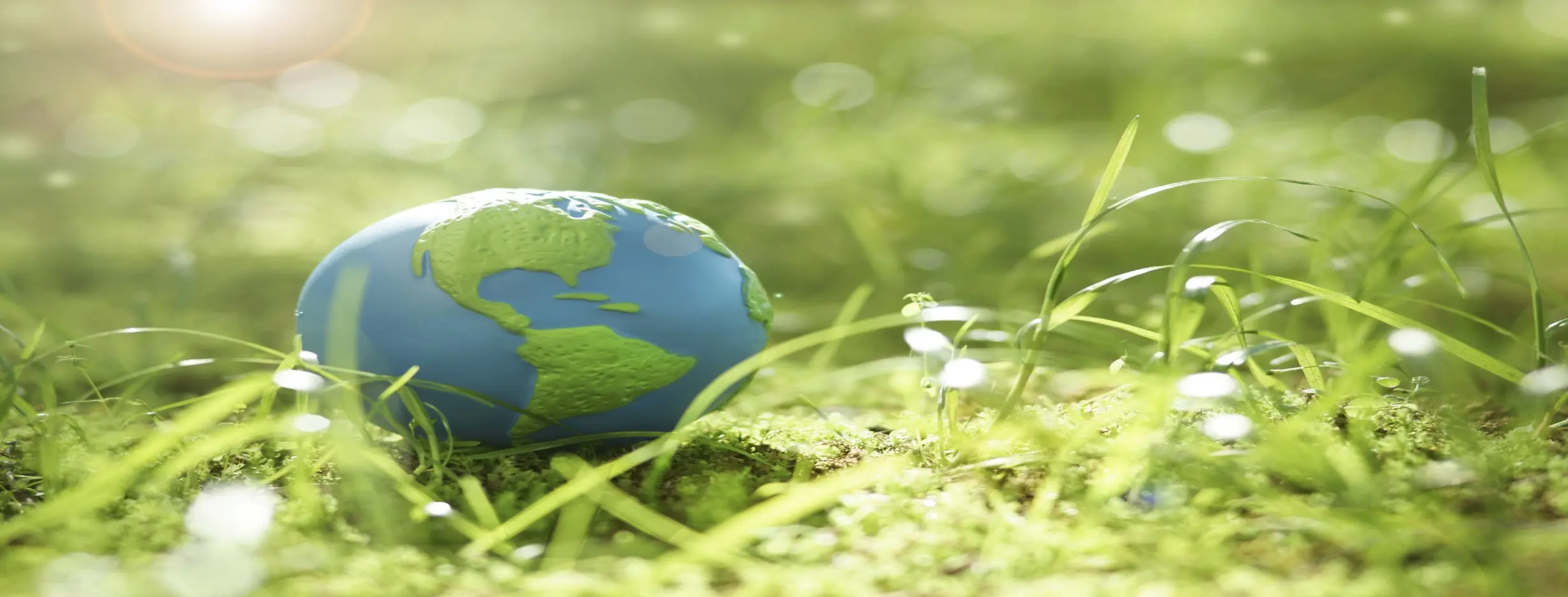 Image for Environmental Paradise